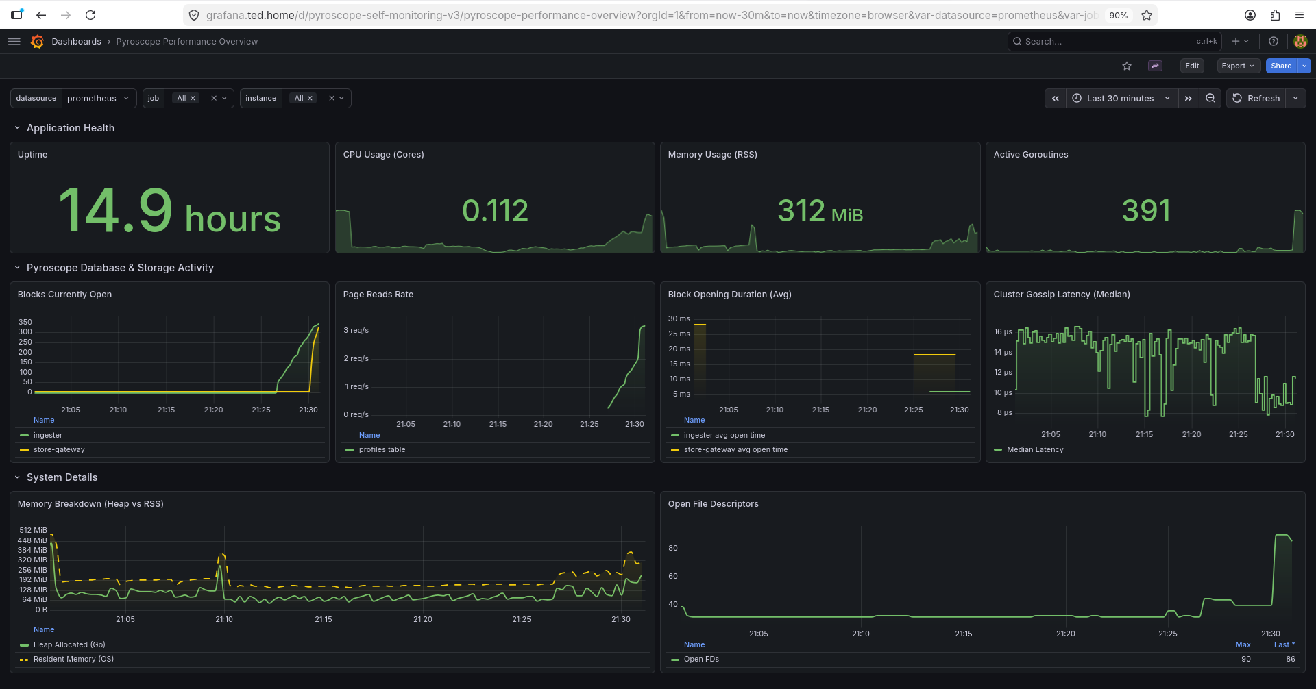 pyroscope-metrics